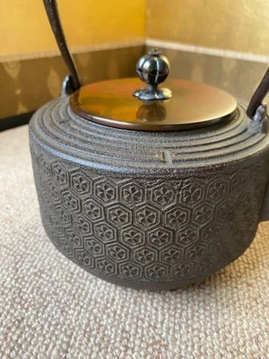 Tetera japonesa de hierro con patrón de tortuga Tetsubin de 8,2 pulgadas de alto ceremonia del té Foto 1 de 4