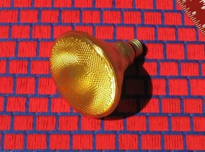 NEW Yellow 100w outdoor FLOOD LIGHT BULB PAR38 waterproof bug away 130V lite    - Picture 1 of 2