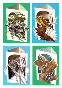3D greeting card gift set 4X Birds, Greenfinch, Woodpecker, Kingfisher, Wagtail - Picture 1 of 6