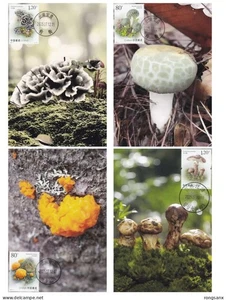2025-11 CHINA MUSHROOM（II) LOCAL MC-B - Picture 1 of 1