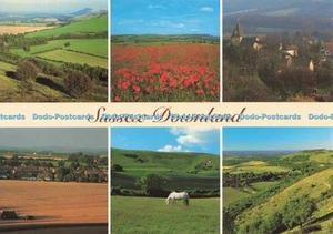 D261157 Sussex Downland Above Storrington Arun Valley and Bury J Salmon Ltd Came - Picture 1 of 4