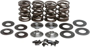 Kit de resorte de válvula Kibblewhite Racing (60-60120) - Imagen 1 de 1
