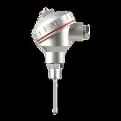 RTD PT100 Temperature Sensor 400mm 500mm Probe 1/2" NPT Thread Thermocouple - Image 1 of 4