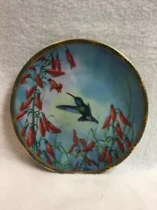 Gemas de la naturaleza: los hermosos colibríes - colibrí de pico ancho y penstemon - Imagen 1 de 4