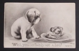 Nun, Sie sind sicherlich ein Vogel- und Welpenkünstler Vincent Colby schwarzweiß Postkarte 1909 - Bild 1 von 3