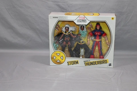 Hasbro Marvel Legends X-Men Storm & Thunderbird 6" Action Figure 2 Pack (H2) Cover