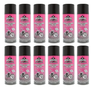 BIKE SPIRITS SPRAY CLEANER & POLISH 14 OZ Case of 12 - Picture 1 of 1