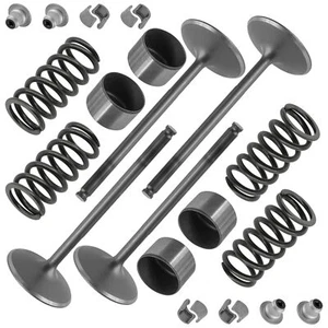 Intake Valve Kit For Polaris RZR XP 900 JAGGED X 2013 RZR 900 4 900 2014 - Picture 1 of 7