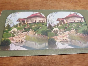 Antigua tarjeta Stereoview # 376 casa de descanso japonesa y jardines - Imagen 1 de 3
