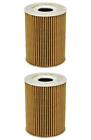 Set of 2 BMW M5 Mahle Engine Oil Filters OX254D2ECO 11427840594 BMW M5