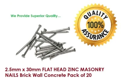 SISI UK Pack of 20 30mm Flat Head Zinc Masonry Nails - Ideal for Brick Wall and Concrete