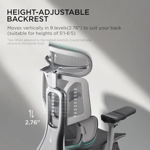 E3 Pro Ergonomic Office Chair, Big and Tall Office Chair - with 3-Zone Dynami... - Picture 1 of 1