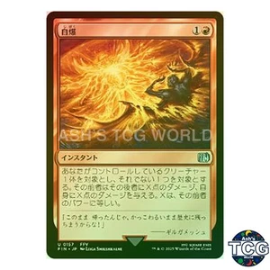 Self-Destruct U Foil 157 FINAL FANTASY MTG Japanese - Picture 1 of 5