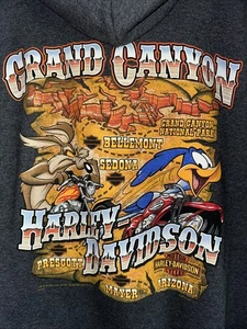 Harley Davidson Full Zip Hoodie Looney Tunes, Harley Davidson Grand Canyon Gr. M - Bild 1 von 11