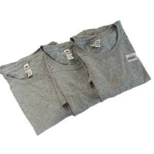 Nueva camiseta para mujer Fruit Of the Loom XL (16-18) algodón suave hilado gris algodón 3 piezas - Imagen 1 de 8