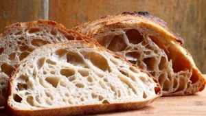 SAUERTEIGHEFE STARTER "San Francisco" BEAST + REZEPTE 19 Vorspeisen in 1 TOLL - Bild 1 von 6