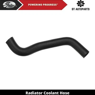 Manguera de refrigerante de radiador de gas 2,4 L L4 2002-2006 Toyota Camry puertas inferiores 2003 Foto 1 de 4