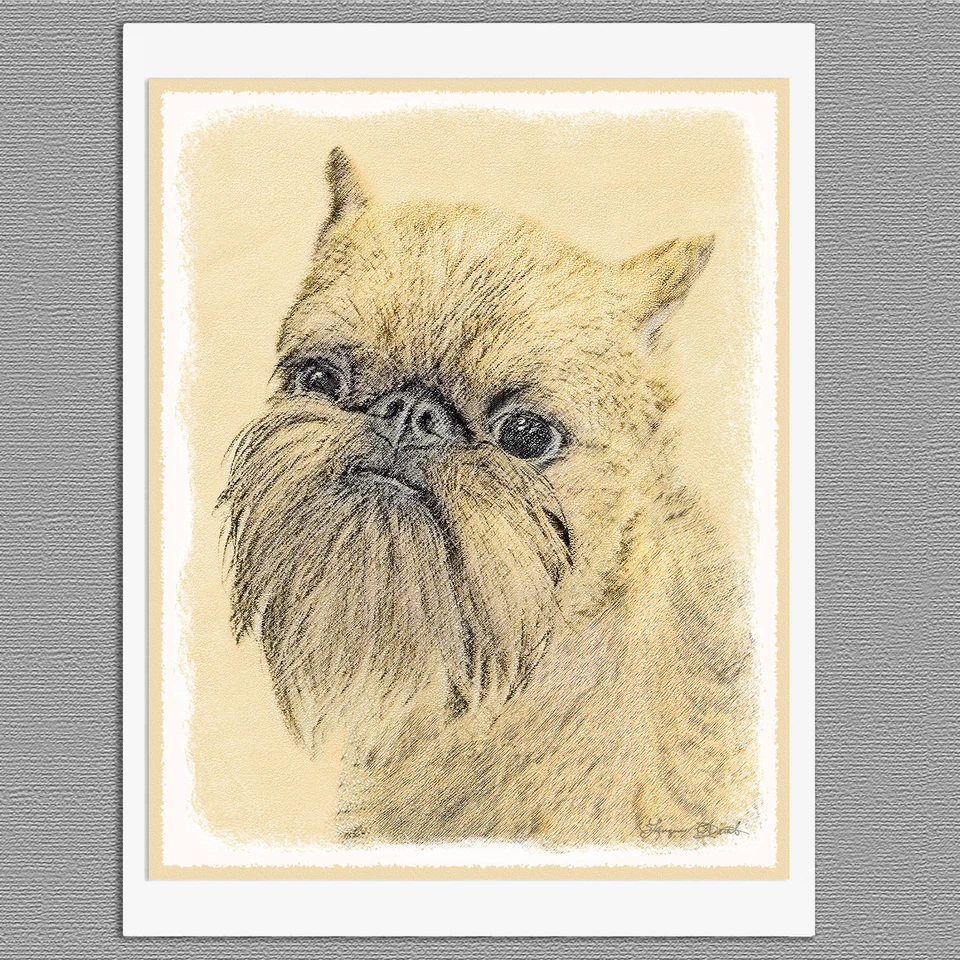 6 tarjetas de felicitación Brussels Griffon Bruxellois Rough Dog nota artística en blanco Foto 1 de 1