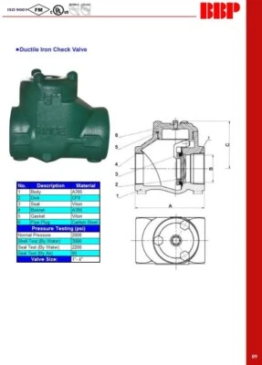 BBP 2" NPT Threaded Ductile Iron Check Swing Valve A935 Body 2000psi - Image 1 of 4