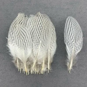 100 piezas plumas de cola de faisán plateadas de 15-20 cm/6-8 pulgadas artesanales hágalo usted mismo - Imagen 1 de 12
