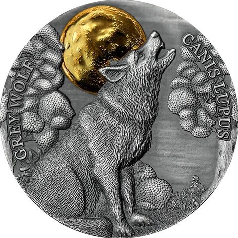 Grey Wolf Wildlife in the Moonlight Silver Coin 2 Cedis Republic of Ghana 2021 Cover