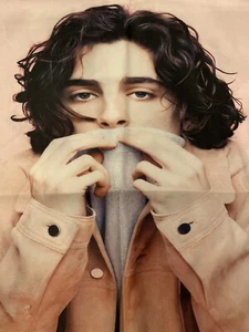 Timathee Chalamet - 2 - Juego de funda de almohada - Imagen 1 de 2