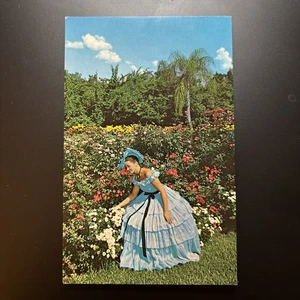 FL Southern Belle in Cypress Gardens Florida chrome FABVINTY BARGAIN POSTCARD - Picture 1 of 2