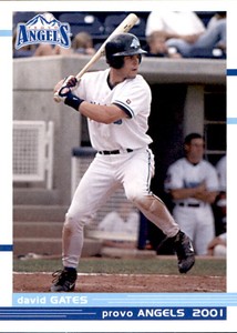 2001 Provo Angels Grandstand #16 David Gates Huntsville Alabama AL Baseball Card