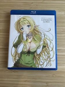 How Not to Summon a Demon Lord: the Complete Series (Blu-ray) Limited Edition - Bild 1 von 5