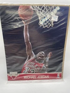 1990-91 NBA Hoops Michael Jordan Action Photos 8x10 Card Picture Sealed Neu - Bild 1 von 8