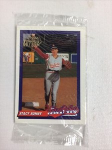 Colorado Silver Bullets Baseball Team Collectible-3 Card Sealed Stacy Sunny