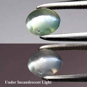 💎 0.71ct Oval Cabochon Natural Green Cat's Eye Alexandrite - Russia Gemstone - Picture 1 of 6