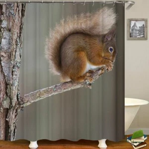 Juego de cortinas de ducha de baño de tela de poliéster con ganchos - Imagen 1 de 11