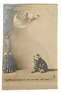 Original Raphael Tuck & Sons Hay Diddle Diddle Post Card c1900s 135mm X 87mm - Picture 1 of 16