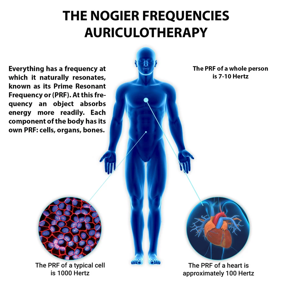 THE NOGIER FREQUENCIES AURICULOTHERAPY CD Foto 1 de 1