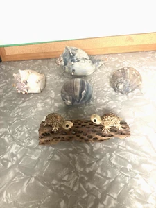 TURTLES HAND MAD FROM SEA SHELLS PLUS SEA SHELLS - Picture 1 of 14