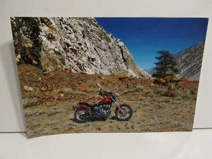 1990S VINTAGE FOUND PHOTOGRAPH COLOR ORIGINAL PHOTO HARLEY DAVIDSON CYCLE NATURE - Picture 1 of 4
