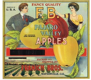 ETICHETTA ORIGINALE CASSA APPLE VINTAGE WATSONVILLE 1915 PAJARO VALLEY STONE LITHO #2 - Foto 1 di 1