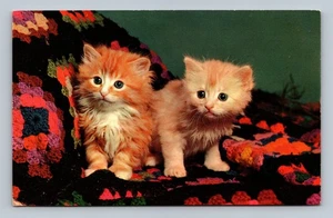 Vintage Kittens Postcard Sisters Color by Knight Plasticrome Boston - Picture 1 of 2