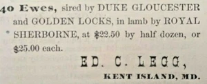 1881 Kent Island Maryland Vintage Impreso Anuncio Edición C. Legg Ovejas a la Venta Clasificado - Imagen 1 de 2