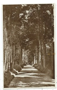 SOMERSET - THE GROVE, BURNHAM ON SEA Echtfoto Postkarte. (18586) - Bild 1 von 1