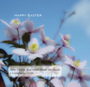 Blossom Easter Card with Bible Text 1 Cor 15:20- EB8773ee - Picture 1 of 2