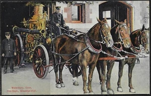 Waterbury Feuerwehr Postkarte Brooklyn Bezirk Pferde Danzinger & Berman - Bild 1 von 2