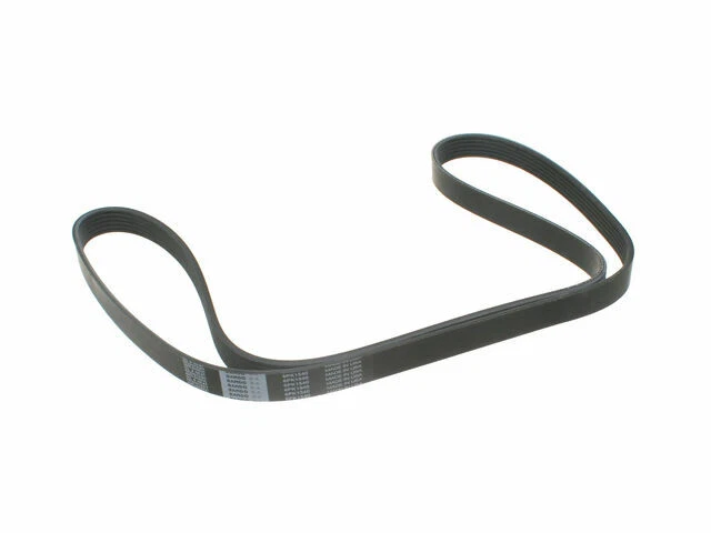 Cinturón primario multi costilla para BMW 528i 1998-2000 37543TS 1999 Foto 1 de 2