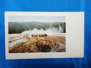 unbenutzt 3 1/2 x 5 1/2 Postkarte Bowle Schale Yellowstone Nationalpark 1902 - Bild 1 von 2