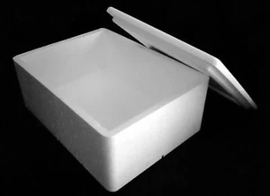 THERMO INSULATION POLYSTYRENE 260 x 180 x 120mm BOX FOOD FISH REPTILE PERISHABLE - Picture 1 of 4