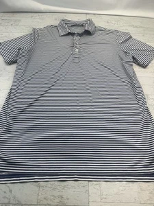 Ralph Lauren RLX Poloshirt Herren Größe L blau weiß gestreift Performance - Bild 1 von 9