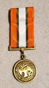 Mini Multinational Force & Observers Medal - Slide-On - Non-Anodized - Picture 1 of 3