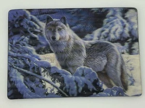 Refrigerator Magnet 3-Dimensional Picture of Wolf Winter Trees Snow - Picture 1 of 2