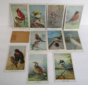 Lote de 10 postales de aves sin usar de Audubon Society ca 1930 con arte de Allan Brooks - Imagen 1 de 5